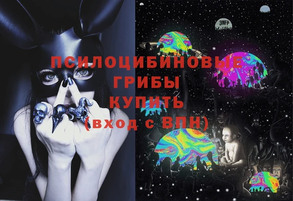 крисы Заводоуковск