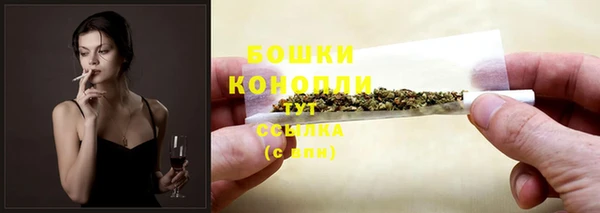 крисы Заводоуковск