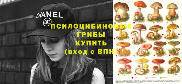 крисы Заводоуковск