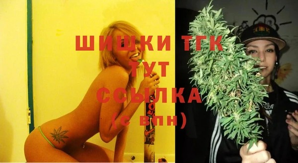 крисы Заводоуковск